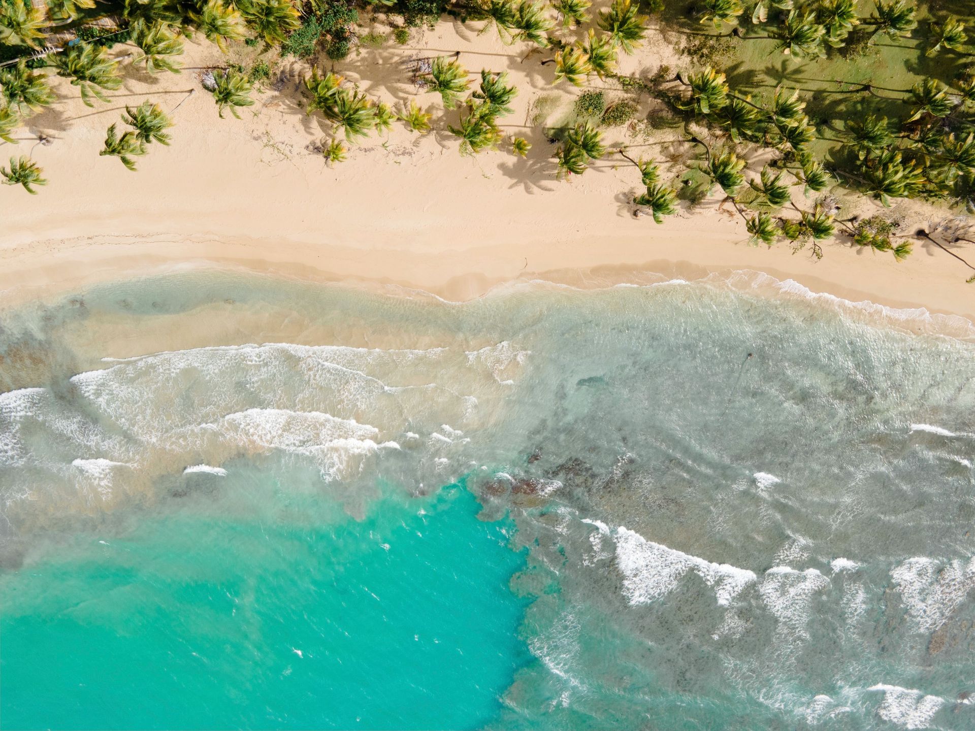 punta cana_header